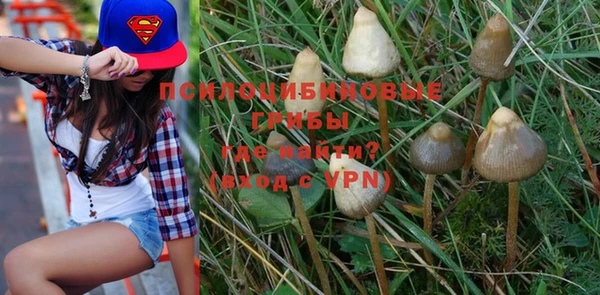 прущая мука Богданович
