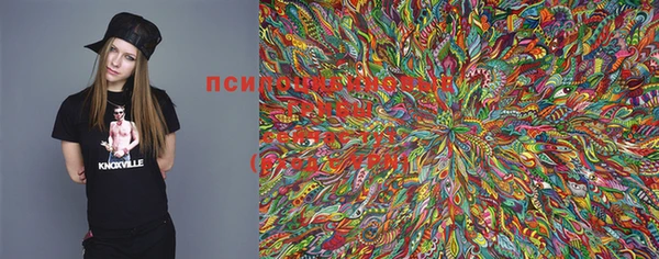 прущая мука Богданович
