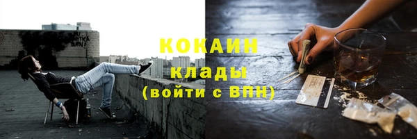твердый Зерноград