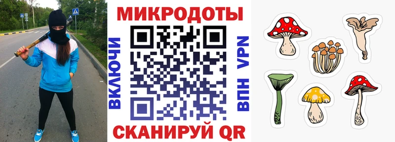 наркотики  Шагонар  Псилоцибиновые грибы мицелий 