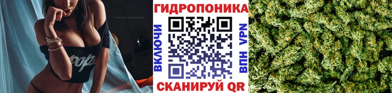купить  цена  Шагонар  Шишки марихуана марихуана 